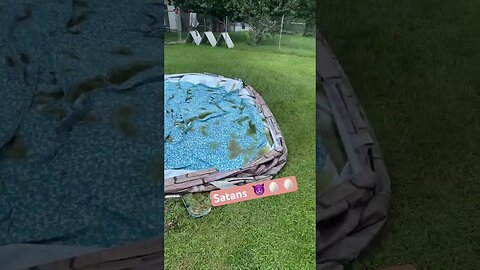 Dirty MF Pool