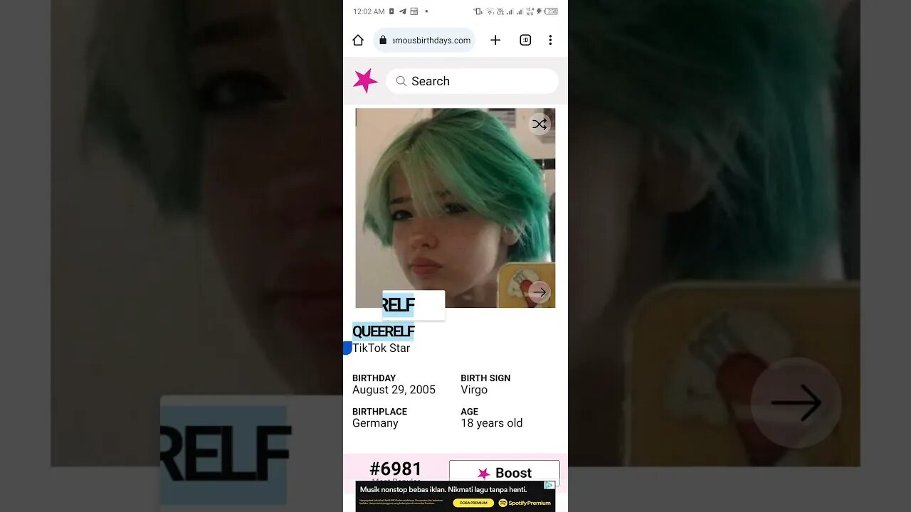 HAPPY 18 BIRTHDAY QUEERELF TikTok Star