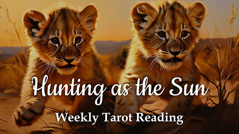Hunting as the Sun - Weekly Tarot Reading