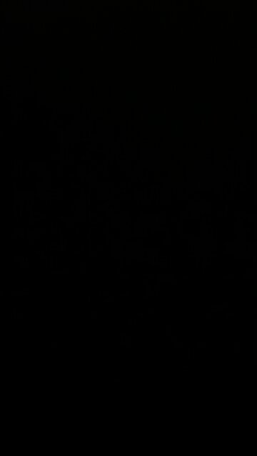 Ryan Routh arraigned in federal court