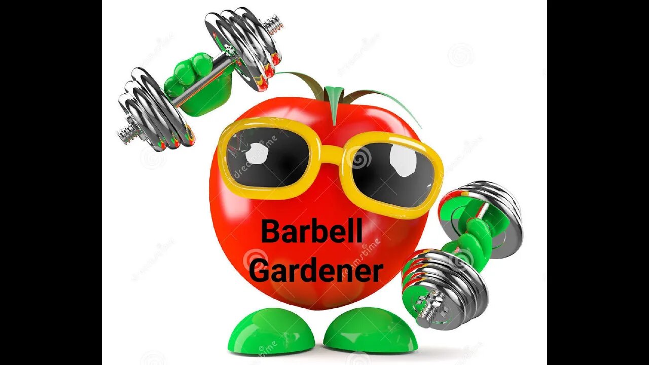 Aug 20, 2023 garden update