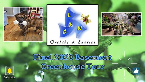 Final 2023 Basement Greenhouse Tour