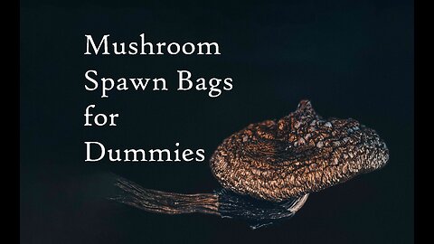 An Introduction To Growing Mushrooms: Spawn Bags Episode 2 (2021)