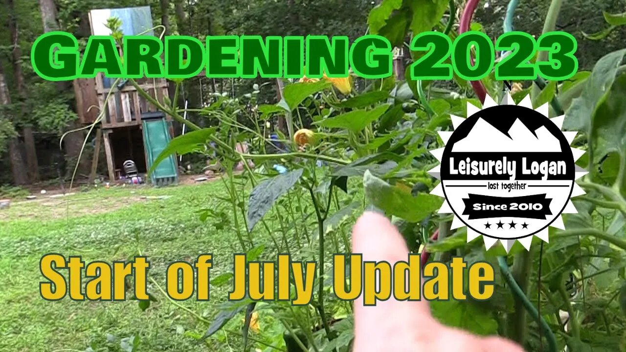 Garden 2023 : Start of July Update and thoughts about next season