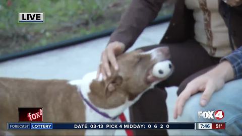 Pet of the week 3/14: Scarlett!