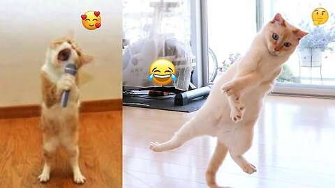 🤣🤣Best Funniest Animal Video 2024😂😂