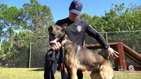 Port St. Lucie police introduce newest K9 team