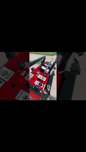 Will my Lawn Ever Recover? 😭