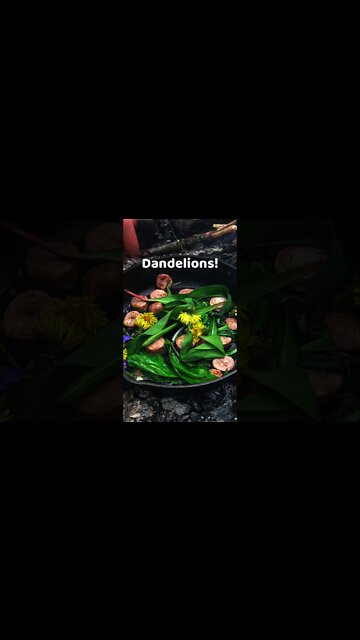 Foraging Ramps and Cooking a Stir fry with wild edibles. Bushcraft camp cooking over a fire. Violets