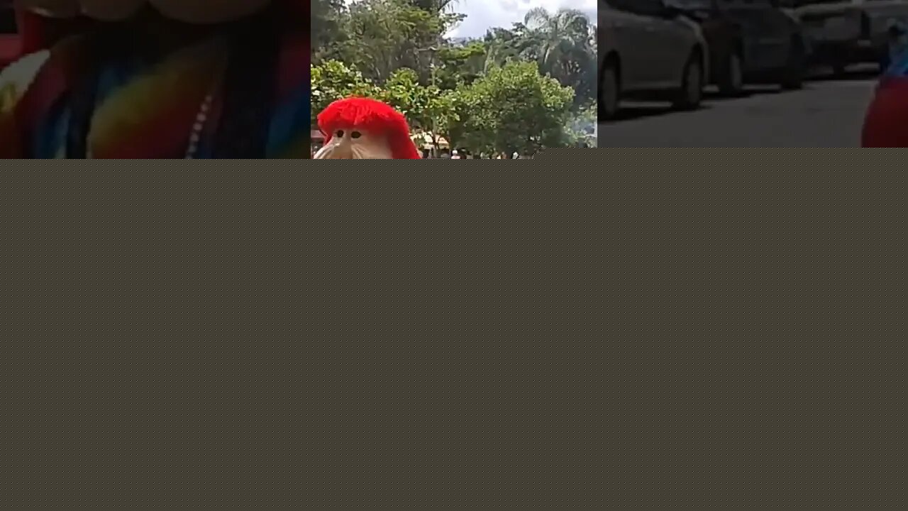 DANÇARINOS SUPER NINJAS DA CARRETA DA ALEGRIA FURACÃO, DANÇANDO FOFÃO, O MÁSKARA, BEN10 E PATATI