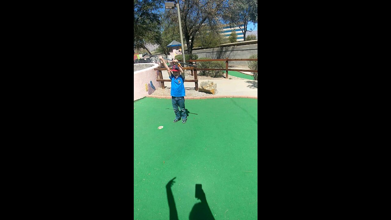 Mini golf genius