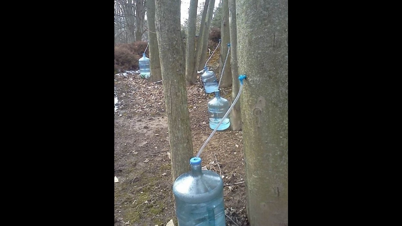 Water security problem solve|Make Water From Air- Check Water Freedom System