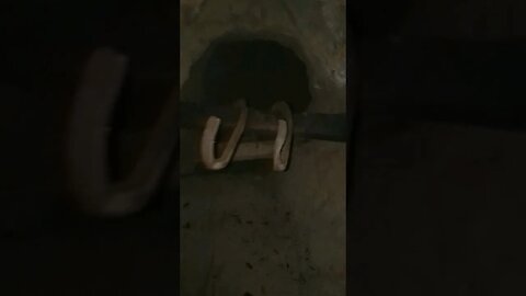 It's getting a little sketchy👀