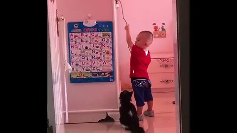 PLAYING CAT VIDEO MEAWWW