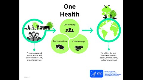 International Bird Flu Summit and One Health