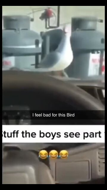 This MF dose not have feet