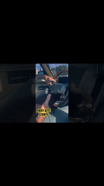 Republicats At The Polls #everyvotecounts #earlyvoting #sc #generalelection #kittycat #greenvillesc