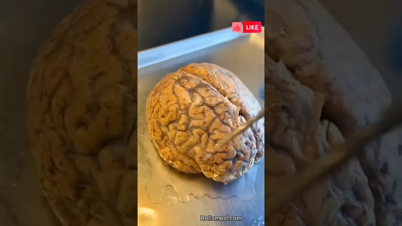 Create New Brain Connections by Doing This