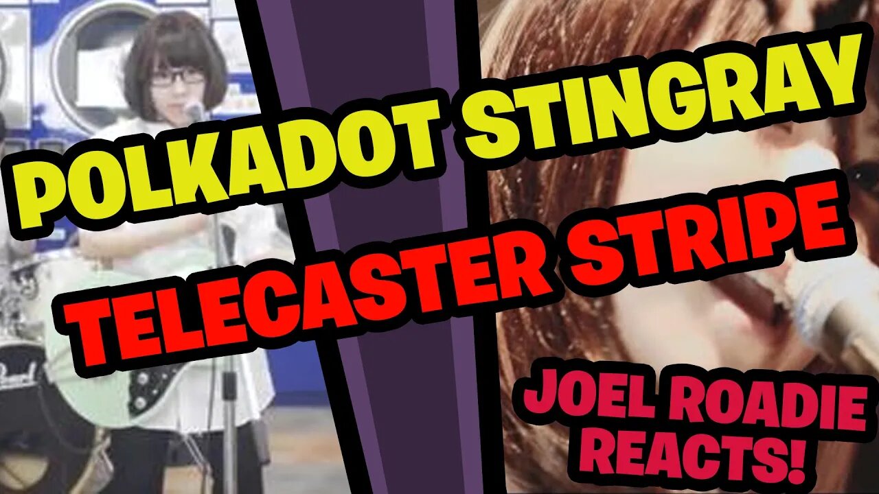 ポルカドットスティングレイ「テレキャスター･ストライプ Polkadot Stingray "Telecaster Stripe" - Roadie Reacts