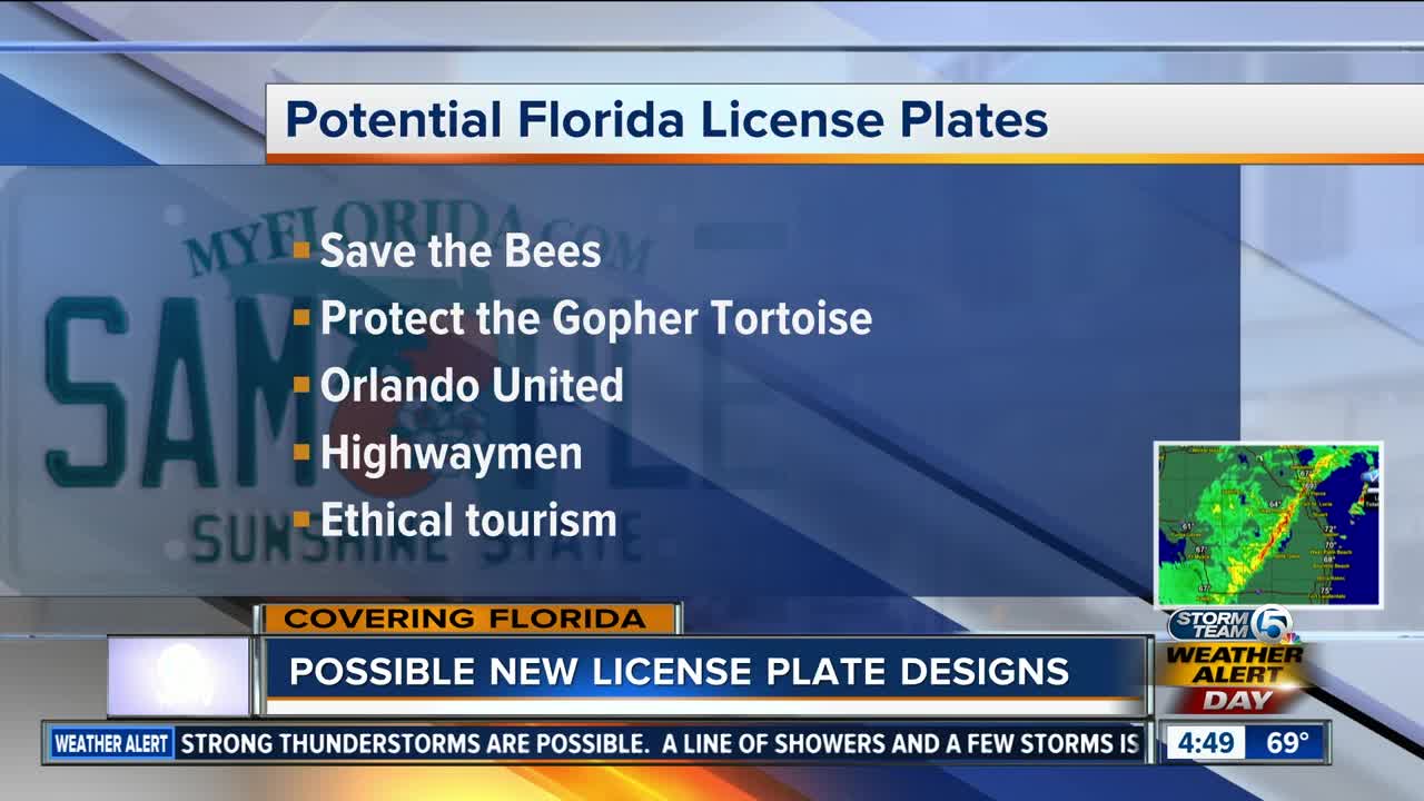 Florida Legislature considers 5 new specialty license plates