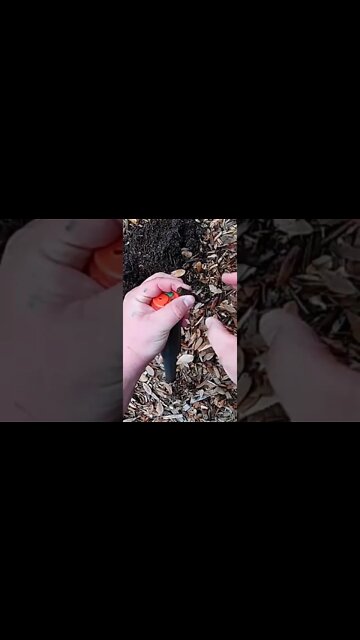 223 bullet found in playground. metal detecting search for gold and silver #shorts