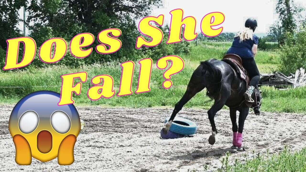 Can Sophie Sit One Of Storms Famous Bucks?