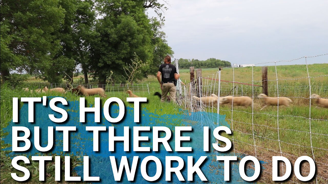 It's So HOT and Humid, But Life On The Farm Doesn't Stop Because of the Weather.