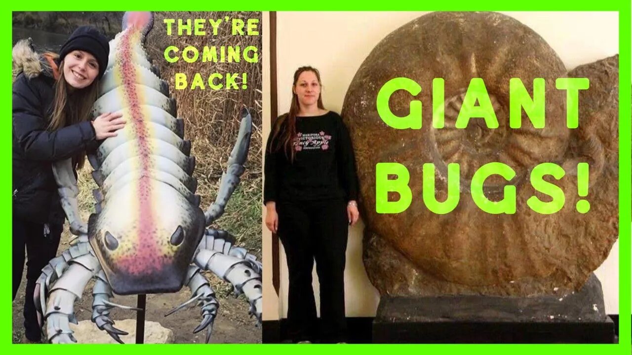 "Prehistoric" 🦗 GIANT 🦂 BUGS 🐛 are coming back!