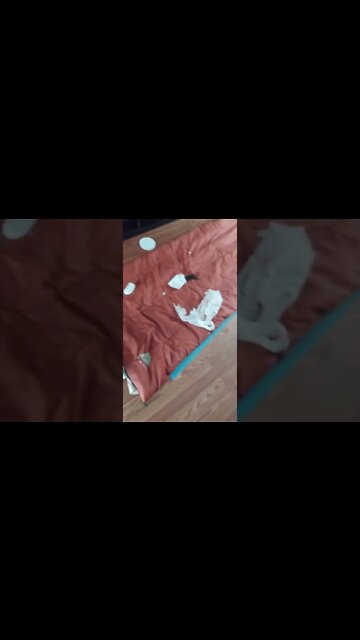 Someone Made A Huge Mess #shorts