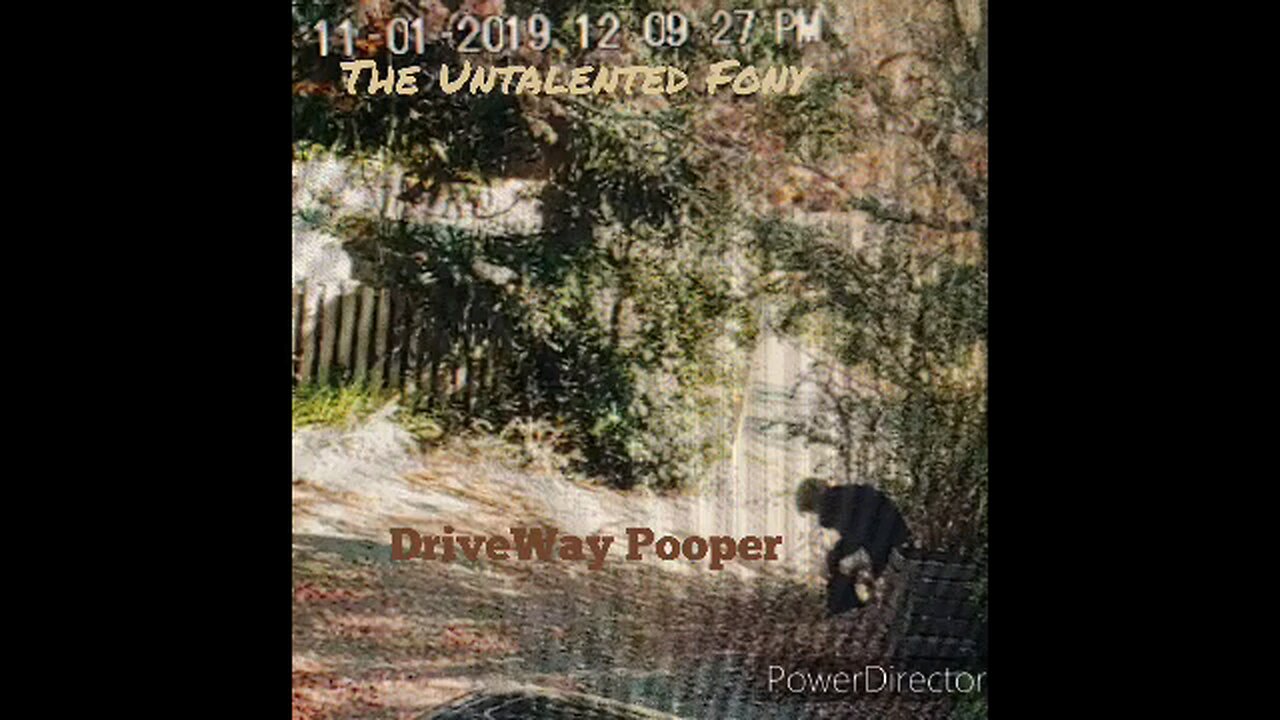 Driveway Pooper