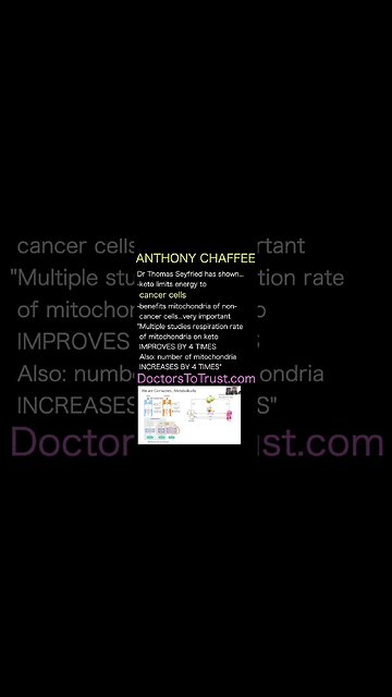 DR ANTHONY CHAFFEE. mitochondria on keto IMPROVES BY 4 TIMES