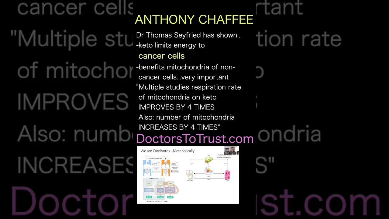 DR ANTHONY CHAFFEE. mitochondria on keto IMPROVES BY 4 TIMES