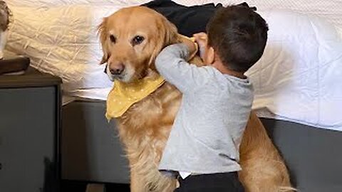 When Your Dog And Baby Are The Best Of Friends