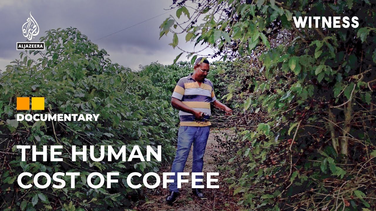 Rescuing coffee farm workers from slave-like conditions in Brazil | Witness Documentary