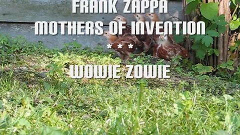 FRANK ZAPPA MOTHERS OF INVENTION WOWIE ZOWIE