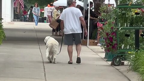 Quick Tour of Perrysburg Farmers Market