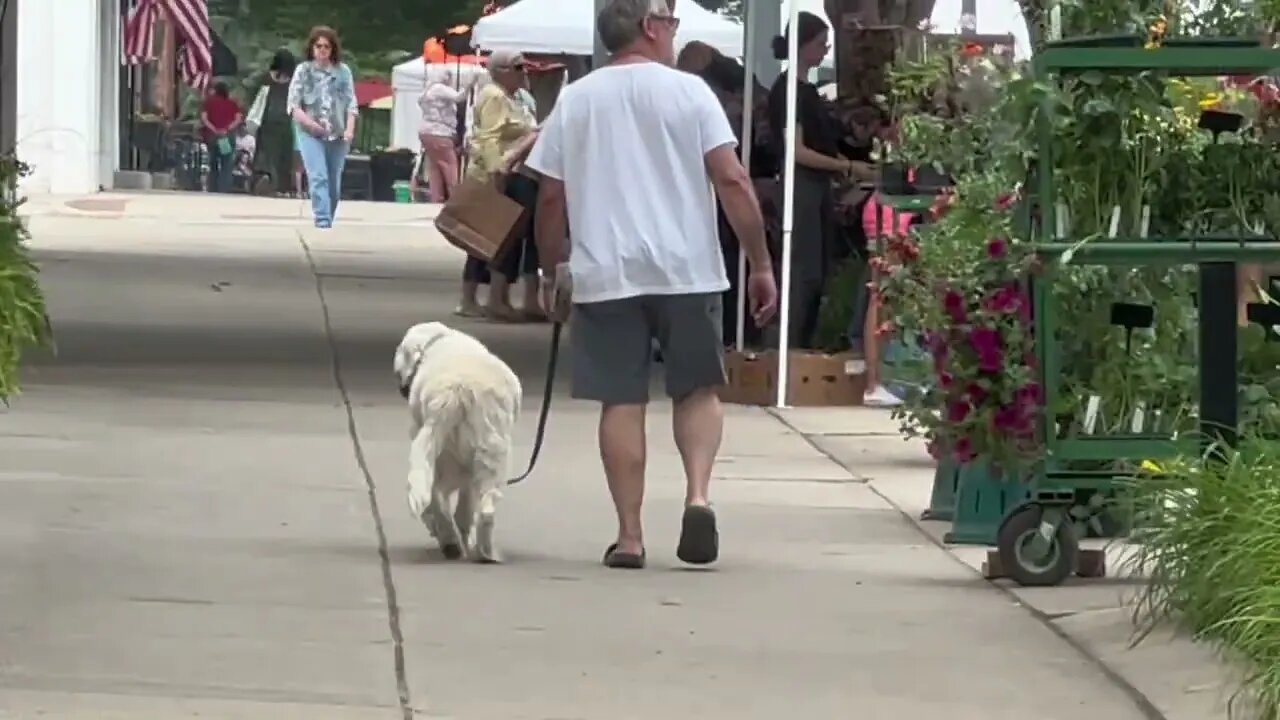 Quick Tour of Perrysburg Farmers Market