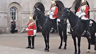 Kings guard telling tourist to get behind the white line #horseguardsparade