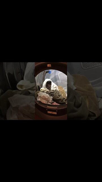 My mom said it’s time to step up my game and learn to put the laundry away! #Shorts