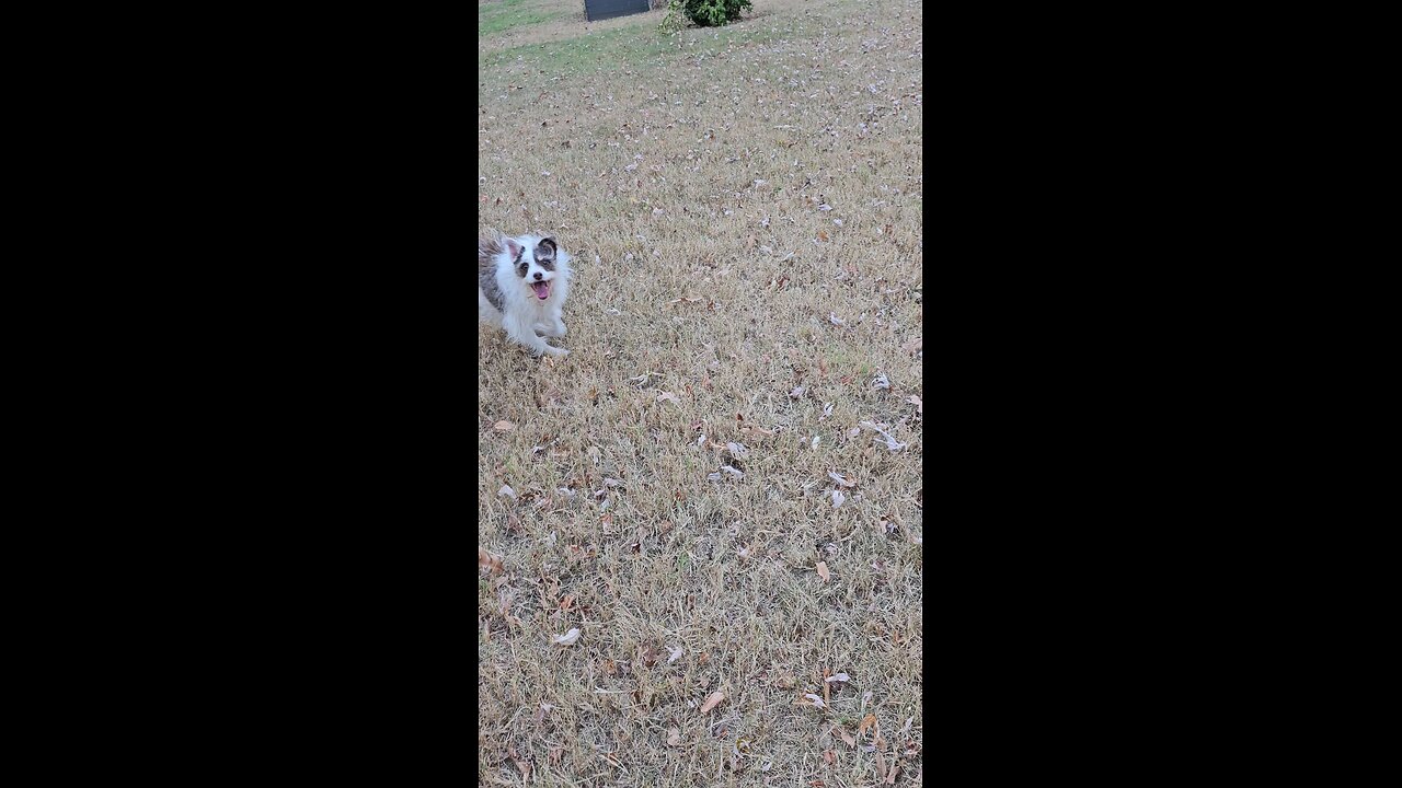 She really does try...