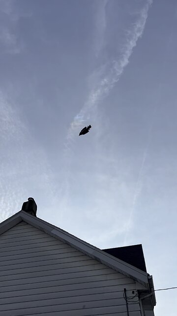 rainbow zig zag chemtrails