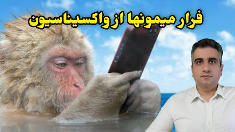 فرار میمونها از واکسیناسیون