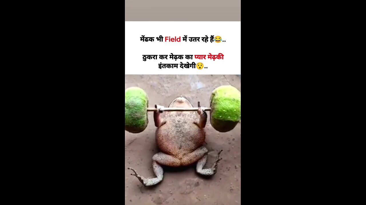 funny video