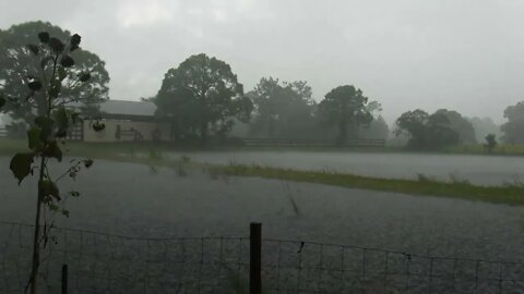 Wind from hurricane ian