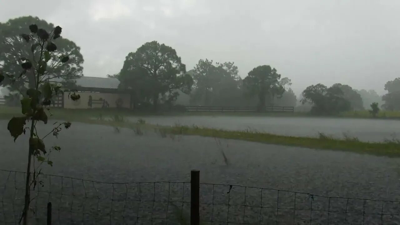 Wind from hurricane ian