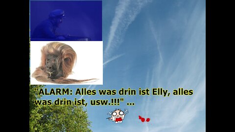 „ALARM: Alles was drin ist Elly, alles was drin ist, usw.!!!“ ...