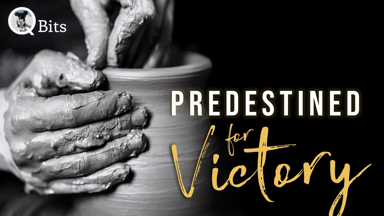 #480 // PREDESTINED FOR VICTORY - Live