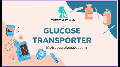 GLUT - Glucose Transporter