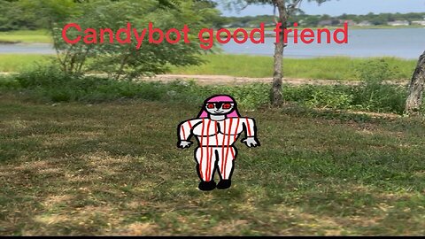 Candybot friend