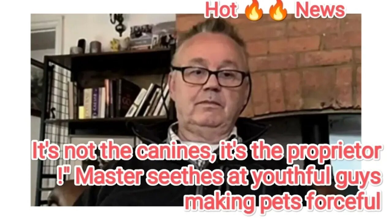 It's not the canines, it's the proprietor!" Master seethes at youthful guys making pets forceful